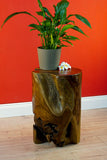 Table d'appoint TOBELO en bois de racine - 40 cm - Tabouret à fleurs - Support pour le salon, le jardin d'hiver ou la terrasse et le jardin