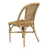 Rotin Design Lot de 6 chaises Selva Miel en Osier