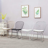 Chaise Nordique ajourée Chaise en Treillis métallique Dossier en Fer forgé créatif Chaise Simple Coiffeuse Banquet Occasionnel dinant la Chaise hôtel Salle à Manger (Color : White)