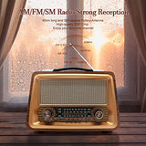 Wholede Radio Portable, Radio Vintage Bluetooth FM/AM/SW, Poste Radio à Pile, Prise en Charge de la Carte TF/USB, Nostalgie Retro Radio pour Cuisine Salle de Bain
