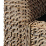 vidaXL Canapé à 3 Places avec Coussins Résine Tressée Oreiller Sofa Meuble de Salon Maison Salle de Séjour Intérieur Bureau Chambre