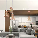 iDEGE Suspension Luminaire Retro E27 Lustre Plafonniers en Forme de Cage Lampe Suspension Vintage pour Salle à Manger, Salon, Chambre et Restaurant - Diamètre 20cm (Or rose)