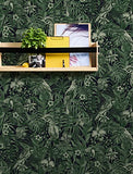 A.S. Création papier peint intissé Greenery papier peint effet jungle papier peint oiseau 10,05 m x 0,53 m vert noir 372101 37210-1
